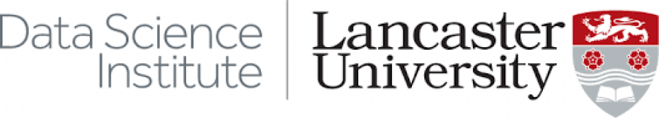 DSI logo