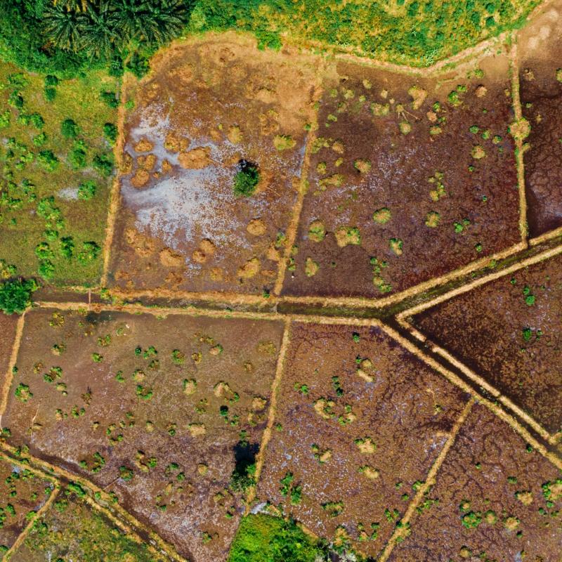 Aerial photograph of land field