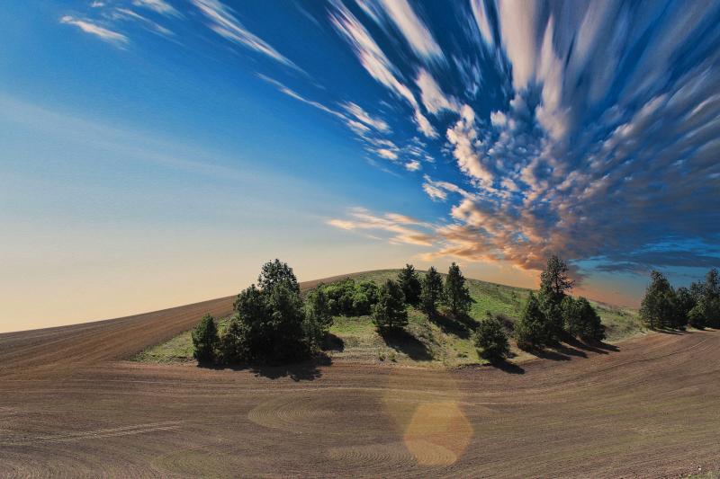 Farmland